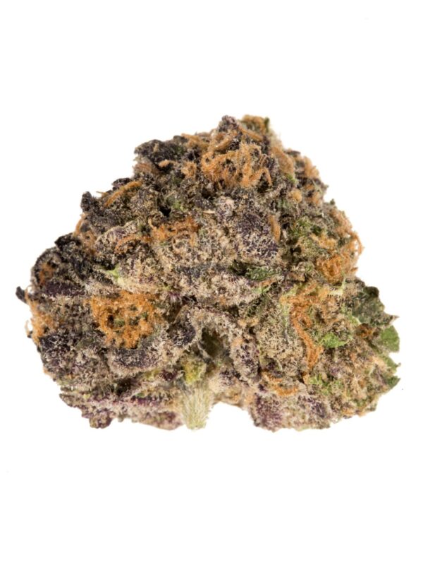 Purple Urkle kaufen