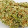 Dutch Treat kaufen – Bild 2